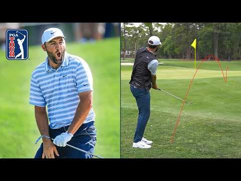 Every televised hole-out (56!!!) from Scottie Scheffler's career so far