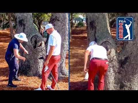 Kevin Roy's tee shot bounces INSIDE a tree?! | THE PLAYERS Championship | 2026